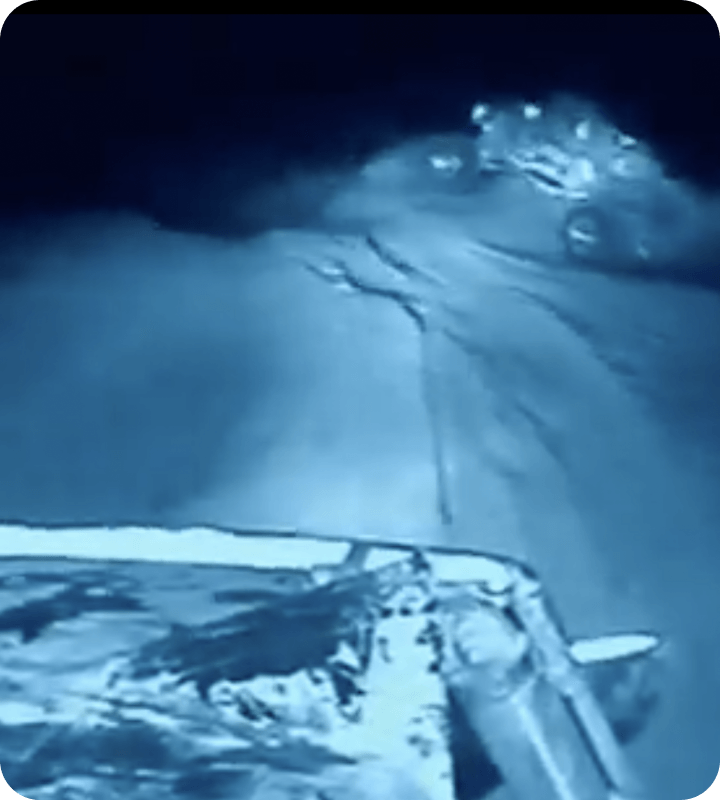 Casualties of the Desert Night